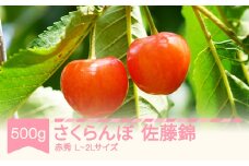 先行予約 さくらんぼ 佐藤錦 赤秀 500g×1パック L-2L玉 バラ詰 ご家庭用 2026年産 令和8年産 山形県産 mm-snpcx500