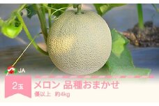 【先行予約】 村山市産 温室メロン 品種おまかせ 令和7年産 2025年産  2玉 優 約4kg 果物 ja-meoxx4