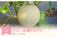 【先行予約】温室メロン 品種おまかせ 令和7年産 2025年産  2玉 優 約4kg 果物 村山市産 ja-meoxx4