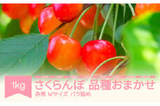 先行予約 さくらんぼ 品種おまかせ 赤秀 Mサイズ 1kg バラ詰 2026年産 令和8年産 山形県産 mm-saoam1000 ※沖縄・離島への配送不可