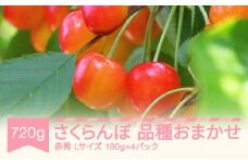 先行予約 さくらんぼ 品種おまかせ 赤秀 Lサイズ 720g 180g×4パック 2026年産 令和8年産 山形県産 mm-saoal720 ※沖縄・離島への配送不可