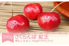 先行予約 さくらんぼ やまがた紅王 3L以上 秀品以上 200g 100g×2パック 2026年産 令和8年産 山形県産 mm-yb3ld200 ※沖縄・離島への配送不可