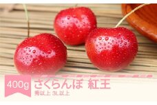 先行予約 さくらんぼ やまがた紅王 3L以上 秀品以上 400g バラ詰 2026年産 令和8年産 山形県産 mm-yb3lx400 ※沖縄・離島への配送不可