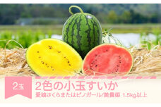 【先行予約】すいか 2色の小玉すいか 2玉 令和8年産 2026年産 果物 ※沖縄・離島への配送不可 no-suwck2