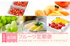 先行予約 秋始まり フルーツ 定期便 全5回 ラ・フランス りんご サンふじ シナノゴールド さくらんぼ 佐藤錦 もも 白桃 ぶどう シャインマスカット 果物 2025年産 2026年産 令和7年産 令和8年産 山形県産 ns-ft5xx-a