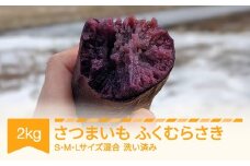 さつまいも 洗い済み ふくむらさき 約2kg 村山市産 2025年産 令和7年 山形県産 no-spfma2 ※沖縄・離島への配送不可