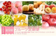 【先行予約】フルーツ定期便 全9回 さくらんぼ 白桃 黄桃 和梨 すもも シャインマスカット りんご ラ・フランス 秀品 2026年産 令和8年産 ※沖縄・離島への配送不可 sb-ft9xxx