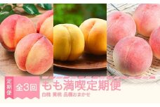 【先行予約】もも満喫定期便 全3回 白桃 黄桃 秀品 2026年産 令和8年産 ※沖縄・離島への配送不可 sb-ftmox3
