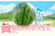 先行予約 大玉 尾花沢すいか 6L×1玉入り 2026年産 令和8年産 ja-suoox6