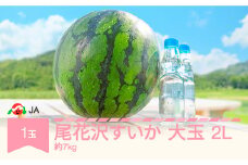 先行予約 大玉 尾花沢すいか 2L×1玉入り 2026年産 令和8年産 ja-suo1x2