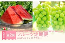 【先行予約】フルーツ定期便 全2回 大玉すいか シャインマスカット 2026年産 令和8年産 ※沖縄・離島への配送不可 ja-ft2ss-b