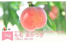 先行予約 もも 桃 あかつき 約2kg ◯秀以上 (約6〜8玉) 令和8年産 2026年産 山形県村山市産 果物 フルーツ ja-moatx2