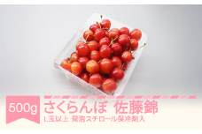 【先行予約】さくらんぼ 佐藤錦 2026年産 令和8年産 500g L玉以上 発泡スチロール保冷剤入  mo-snhax500 