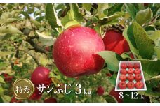 【2025年11月～12月発送分先行受付】「特秀」サンふじりんご3kg_H137(R7)