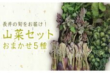 【2025年4月～5月発送分先行受付】山形の山菜おまかせ5種セット（700g以上）_H047(R7)
