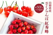 【2025年6月～7月発送分先行受付】「秀品」さくらんぼ紅秀峰500g（L玉以上・化粧箱・バラ詰）_H045(R7)