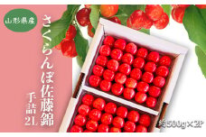 【2025年6月発送分先行受付】「秀品」さくらんぼ佐藤錦1kg（2L玉以上・化粧箱・贈答用手詰）_H038(R7)