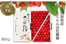 【2025年6月発送分先行受付】「秀品」さくらんぼ佐藤錦1kg（2L玉・化粧箱・手詰）_H040(R7)