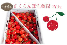 【2025年6月発送分先行受付】「秀品」さくらんぼ佐藤錦1kg（M玉・バラ詰）_H036(R7)