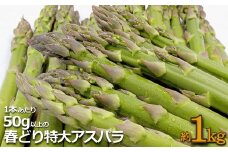 【2025年4月～5月発送分先行受付】春どり特大アスパラ(1本50g以上・1kg）_H049(R7)