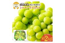 【2025年9月～10月発送分先行受付】山形のぶどう(シャインマスカット)約2kg（2～5房）_H063(R7)-2