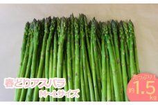 【2025年4月～5月発送分先行受付】春どりアスパラ（M～Lサイズ・1.5kg）_H050(R7)