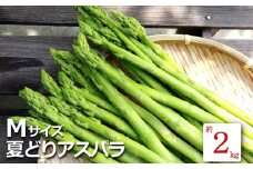 【2025年7月～8月発送分先行受付】夏どりアスパラ（M～Lサイズ・約2kg）_H052(R7)