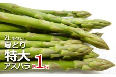 【2025年7月～8月発送分先行受付】夏どり特大アスパラ(2Lサイズ以上・約1kg）_H051(R7)
