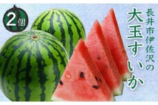 【2025年7月～8月発送分先行受付】長井市伊佐沢の大玉すいか約8～11kg×2玉_H054(R7)