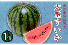 【2025年7月～8月発送分先行受付】長井市伊佐沢の大玉すいか約6～8kg×1玉_H055(R7)