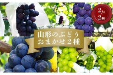 【2025年9月～10月発送分先行受付】「秀品」山形のぶどう品種おまかせ約4kg(約2kg×2種)_H056(R7)