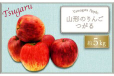 【2025年9月～10月発送分先行受付】山形のりんご（つがる）約5kg_H074(R7)