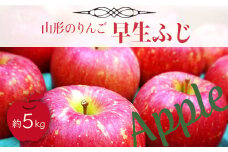 【2025年9月～10月発送分先行受付】山形のりんご（早生ふじ）約5kg_H075(R7)
