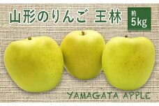 【2025年11月発送分先行受付】山形のりんご（王林）約5kg_H079(R7)