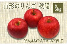 【2025年10月発送分先行受付】山形のりんご（秋陽）約5kg_H077(R7)