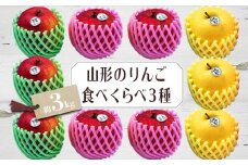【2025年10月～12月発送分先行受付】山形のりんご食べくらべ3種 約3kg_H080(R7)