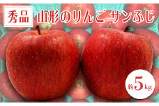 【2025年11月～12月発送分先行受付】「秀品」山形のりんご（サンふじ）約5kg_H081(R7)