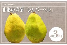 【2025年12月発送】山形の洋梨「シルバーベル」約3kg_H090(R7)