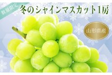 【2025年12月発送分先行受付】冬の山形県産低温貯蔵シャインマスカット1房（約700～800g）_H067(R7)