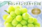 専用化粧箱入り