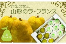 【2025年11月～12月発送】山形のラフランス 約5kg_H069(R7)