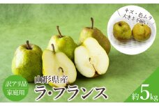 【2025年11月～12月発送】ご家庭用訳ありラ・フランス約5kg_H071(R7)