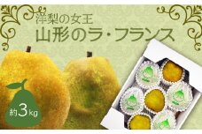 【2025年11月～12月発送】山形のラフランス 約3kg_H070(R7)
