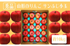 【2025年11月～12月発送分先行受付】「秀品」山形のりんご（小玉サンふじ）約10kg_H084(R7)