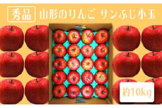【2025年発送】「秀品」山形のりんご（小玉サンふじ）約10kg_H084(R7)
