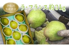 伊佐沢生産者会のラ・フランス約3kg（6～10玉）_H094(R4)