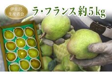 伊佐沢生産者会のラ・フランス約5kg（10～16玉）_H095(R4)
