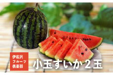 【2025年7月～8月発送分先行受付】伊佐沢フルーツ倶楽部の小玉すいか2玉_H098(R7)