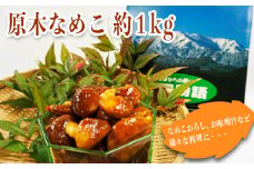 【2025年10月～11月発送分先行受付】原木なめこ約1kg_H088(R7)