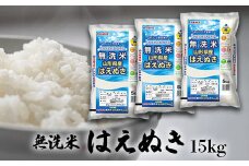 【令和6年産米】JAおきたま「無洗米はえぬき」15kg_A174(R6)
